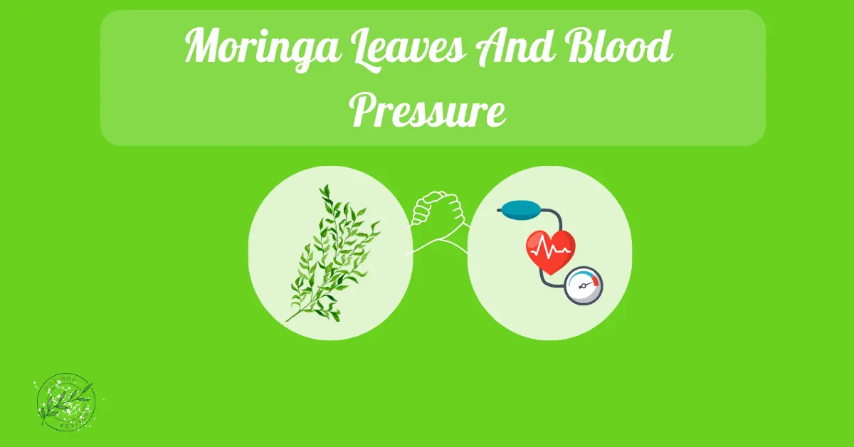 Moringa Leaves And Blood Pressure