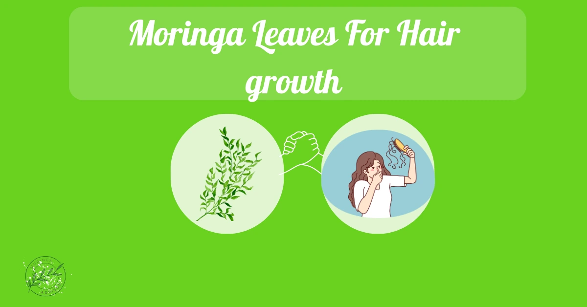 Moringa leaves for hair growth