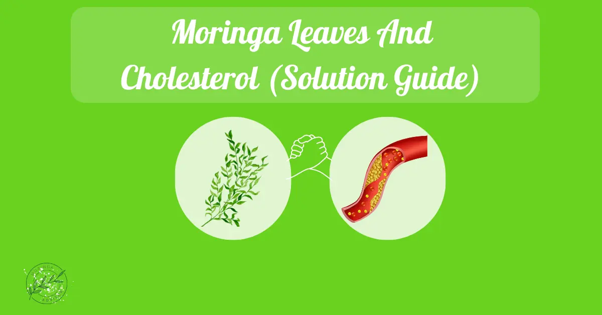 moringa leaves and cholesterol